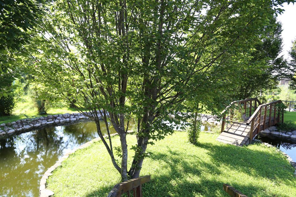 산 미켈레 알 타글리아멘토 Isola Di Wight B&B 외부 사진
